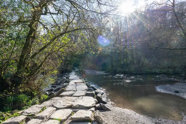 Tarr 'daki alkışlı köprünün Exmoor Ulusal Parkı' ndaki basamakları.