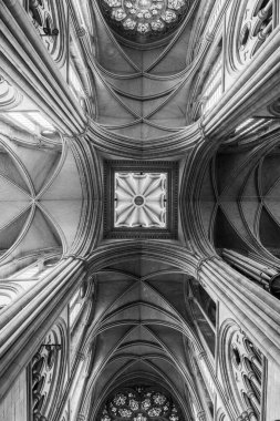 Truro.cornwall. Birleşik Krallık. 8. 2024. Cornwall 'daki Truro katedralinin tavan görüntüsü.