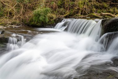 Exmoor Ulusal Parkı 'ndaki Watersmeet' te Hoar Oak Nehri 'nde uzun süre bir şelale görüldü.