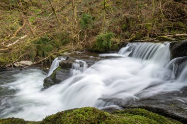 Exmoor Ulusal Parkı 'ndaki Watersmeet' te Hoar Oak Nehri 'nde uzun süre bir şelale görüldü.