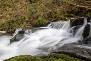 Exmoor Ulusal Parkı 'ndaki Watersmeet' te Hoar Oak Nehri 'nde uzun süre bir şelale görüldü.