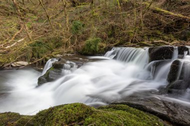 Exmoor Ulusal Parkı 'ndaki Watersmeet' te Hoar Oak Nehri 'nde uzun süre bir şelale görüldü.
