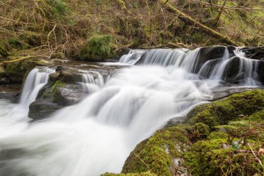 Exmoor Ulusal Parkı 'ndaki Watersmeet' te Hoar Oak Nehri 'nde uzun süre bir şelale görüldü.
