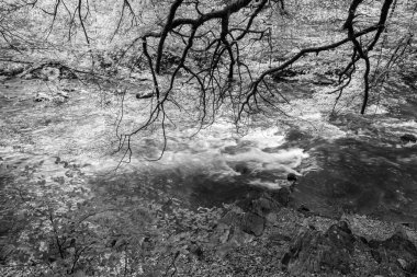 Barle nehrinin Exmoor Ulusal Parkı 'ndaki Tarr Basamakları' ndaki ormanlardan akışı uzun sürdü.