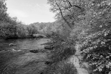 Barle nehrinin Exmoor Ulusal Parkı 'ndaki Tarr Basamakları' nda akan manzarası.