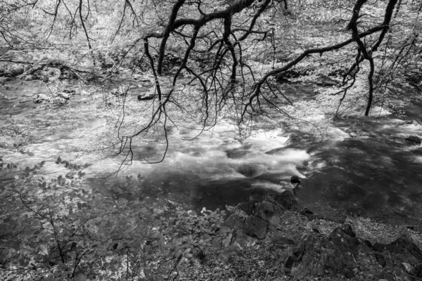 stock image Long exposure of  the river Barle flowing through the woods at Tarr Steps in Exmoor National Park