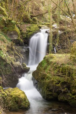 Exmoor Ulusal Parkı 'ndaki Watersmeet' te Hoar Oak Nehri 'nde uzun süre bir şelale görüldü.