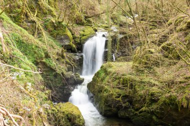 Exmoor Ulusal Parkı 'ndaki Watersmeet' te Hoar Oak Nehri 'nde uzun süre bir şelale görüldü.