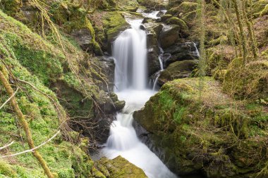 Exmoor Ulusal Parkı 'ndaki Watersmeet' te Hoar Oak Nehri 'nde uzun süre bir şelale görüldü.