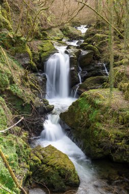 Exmoor Ulusal Parkı 'ndaki Watersmeet' te Hoar Oak Nehri 'nde uzun süre bir şelale görüldü.