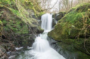 Exmoor Ulusal Parkı 'ndaki Watersmeet' te Hoar Oak Nehri 'nde uzun süre bir şelale görüldü.