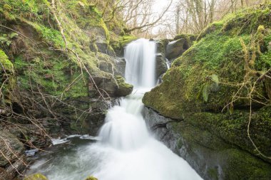 Exmoor Ulusal Parkı 'ndaki Watersmeet' te Hoar Oak Nehri 'nde uzun süre bir şelale görüldü.