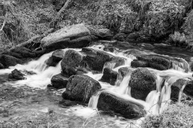 Exmoor Ulusal Parkı 'ndaki Watersmeet' te Hoar Oak Nehri 'nde uzun süre bir şelale görüldü.