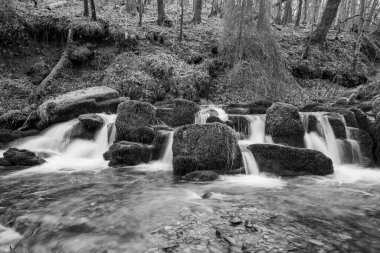 Exmoor Ulusal Parkı 'ndaki Watersmeet' te Hoar Oak Nehri 'nde uzun süre bir şelale görüldü.