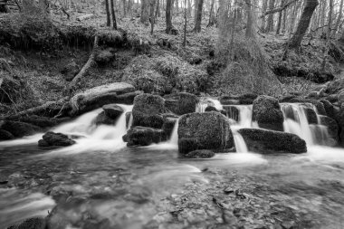Exmoor Ulusal Parkı 'ndaki Watersmeet' te Hoar Oak Nehri 'nde uzun süre bir şelale görüldü.