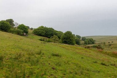 Hoar Oak 'un Exmoor Ulusal Parkı' ndaki Hoar Oak Vadisi 'ndeki kır evinin fotoğrafı.