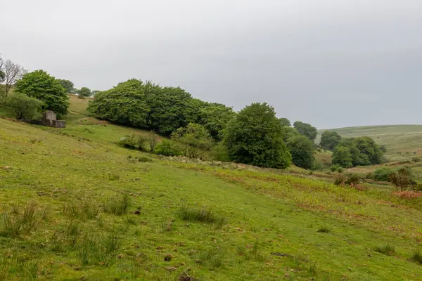 stock image Photo of Hoar Oak cottage in Hoar Oak valley in Exmoor National Park