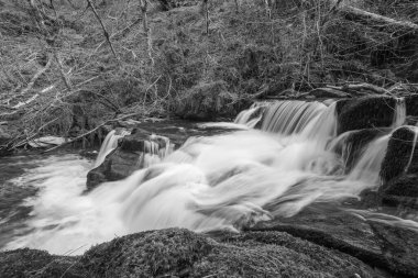 Exmoor Ulusal Parkı 'ndaki Watersmeet' te Hoar Oak Nehri 'nde uzun süre bir şelale görüldü.