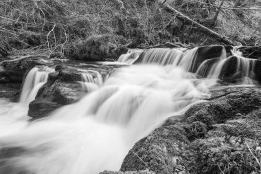 Exmoor Ulusal Parkı 'ndaki Watersmeet' te Hoar Oak Nehri 'nde uzun süre bir şelale görüldü.