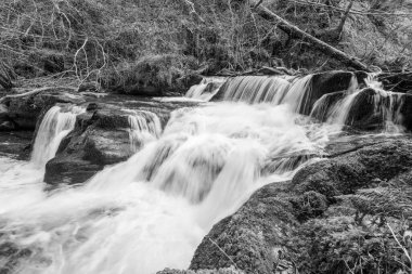 Exmoor Ulusal Parkı 'ndaki Watersmeet' te Hoar Oak Nehri 'nde uzun süre bir şelale görüldü.