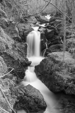 Exmoor Ulusal Parkı 'ndaki Watersmeet' te Hoar Oak Nehri 'nde uzun süre bir şelale görüldü.