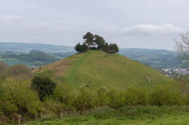 Landscape photo of Colmers hill in Dorset clipart