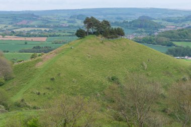 Dorset 'teki Colmers Hill' in manzara fotoğrafı.