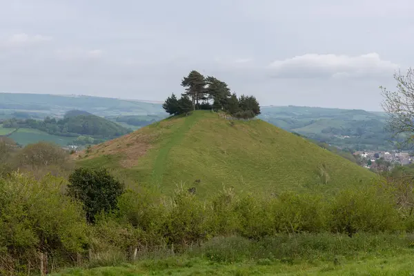 stock image Landscape photo of Colmers hill in Dorset