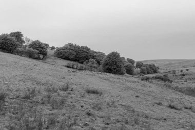 Hoar Oak 'un Exmoor Ulusal Parkı' ndaki Hoar Oak Vadisi 'ndeki kır evinin fotoğrafı.