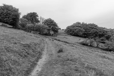 Hoar Oak 'un Exmoor Ulusal Parkı' ndaki Hoar Oak Vadisi 'ndeki kır evinin fotoğrafı.