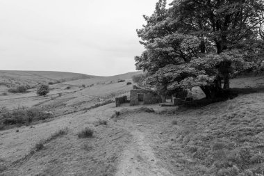 Hoar Oak 'un Exmoor Ulusal Parkı' ndaki Hoar Oak Vadisi 'ndeki kır evinin fotoğrafı.
