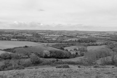 Dorset 'teki Colmers Tepesi' nin yakınındaki Quarry Hill 'in tepesinden bak.