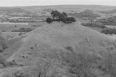 Dorset 'teki Colmers Hill' in manzara fotoğrafı.