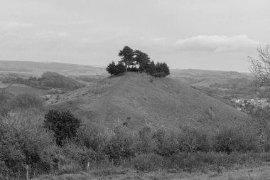 Dorset 'teki Colmers Hill' in manzara fotoğrafı.