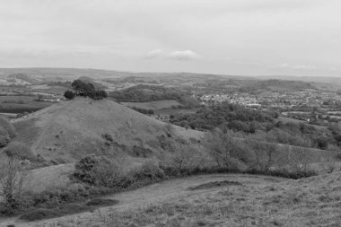 Dorset 'teki Colmers Hill' in manzara fotoğrafı.