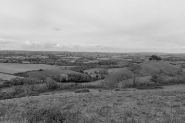 Landscape photo of Colmers hill in Dorset clipart