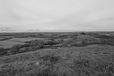 Dorset 'teki Colmers Hill' in manzara fotoğrafı.