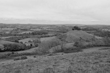 Dorset 'teki Colmers Hill' in manzara fotoğrafı.
