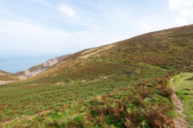 Kuzey Devon sahilindeki Foreland Point 'teki Güney Batı Sahil Yolu' nun manzara fotoğrafı.
