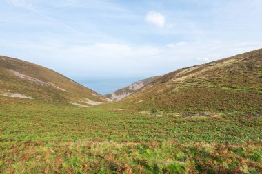 Kuzey Devon sahilindeki Foreland Point 'teki Güney Batı Sahil Yolu' nun manzara fotoğrafı.