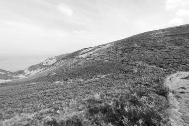 Kuzey Devon sahilindeki Foreland Point 'teki Güney Batı Sahil Yolu' nun manzara fotoğrafı.