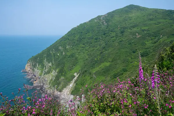 stock image Landscape photo of Little Hangman on the South West coastpath