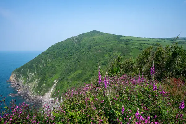 stock image Landscape photo of Little Hangman on the South West coastpath