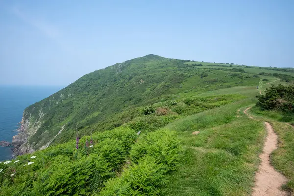 stock image Landscape photo of Little Hangman on the South West coastpath