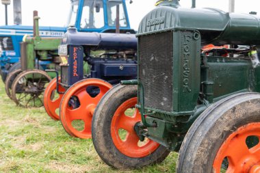 Low Ham.Somerset. Birleşik Krallık. 20 Temmuz 2024. Bir çift Standart Fordsonlar da dahil olmak üzere bir dizi klasik traktör Somerset Steam and Country Show 'da sergilenecek.