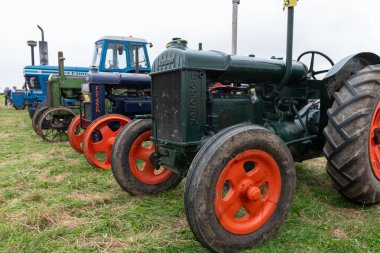 Low Ham.Somerset. Birleşik Krallık. 20 Temmuz 2024. Bir çift Standart Fordsonlar da dahil olmak üzere bir dizi klasik traktör Somerset Steam and Country Show 'da sergilenecek.