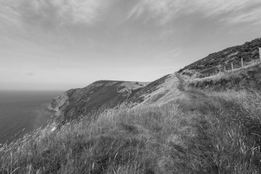 Exmoor Ulusal Parkı 'ndaki Countisbury Hill Beacon Tor' dan görüntü