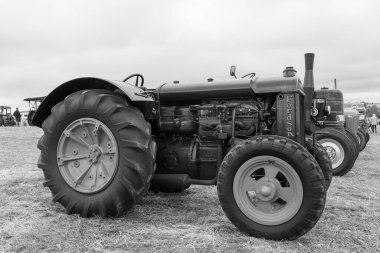 Low Ham.Somerset. Birleşik Krallık. 20 Temmuz 2024.A restore edilmiş standart Fordson, Somerset Steam and Country Show 'da sergileniyor.