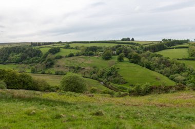 Exmoor Ulusal Parkı 'ndaki Landacre vadisinin manzara fotoğrafı.