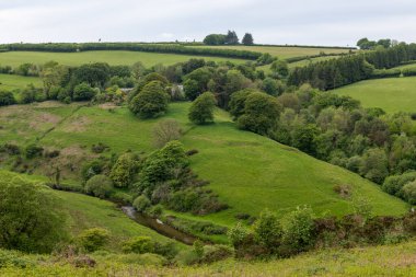 Exmoor Ulusal Parkı 'ndaki Landacre vadisinin manzara fotoğrafı.